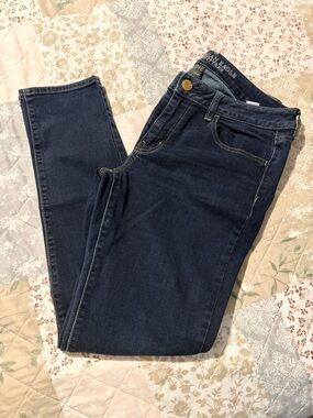 American Eagle Outfitters Indigo Women's Skinny Jeans